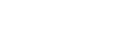 Snowborn logo